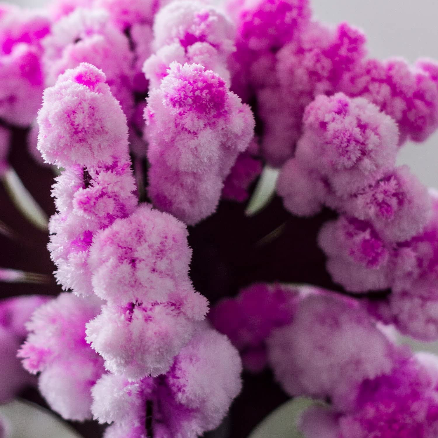 ARBOL MAGICO SAKURA - Imagen 3