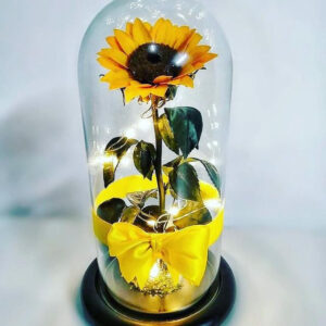 Girasol Preservado