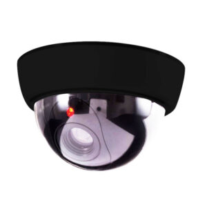 Camara Segurida Dummy (Falsa) Domo NA231