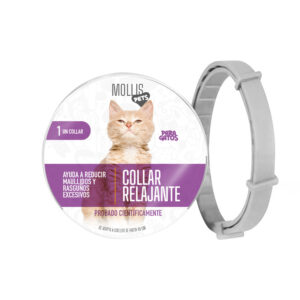 Humidificador Gato Aromaterapia