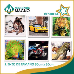 PINTURA DIAMANTE 30CM ANCH X 30CM DE ALT