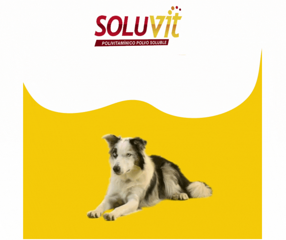 SOLUVIT (Hidratante) - Imagen 2