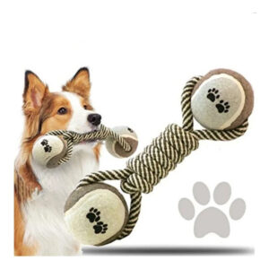 Juguete Perro Lazo Verde Bola De Tenis