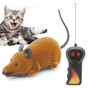 Juguete Ratón A Control Remoto Didáctico