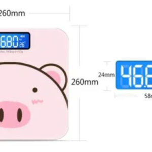 BASCULA RECARGABLE CERDITO