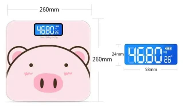 BASCULA RECARGABLE CERDITO