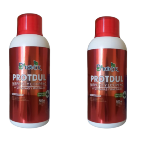 PROTDUL PROMO X 2