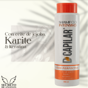 SHAMPOO LISOS PERFECTOS