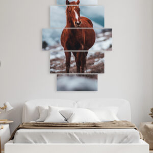 CABALLOS - 01