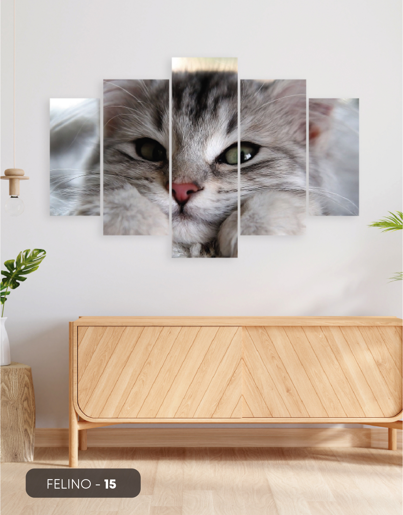 FELINOS - 15