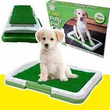 Tapete Entrenamiento Perros Puppy Potty