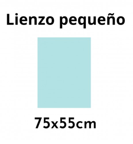 LIENZO 75X55CM