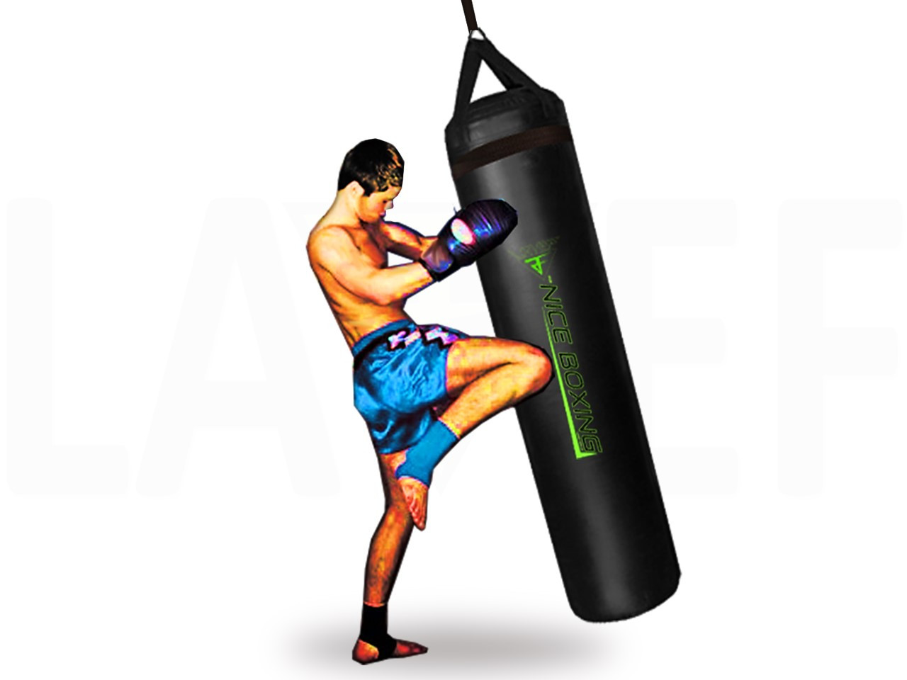 camara de reversa - Imagen 2