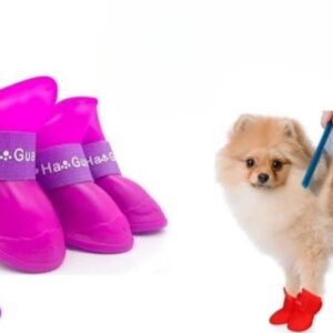 Zapatos para mascota talla XL