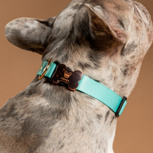 Collar Verde Menta Unicolor Gold