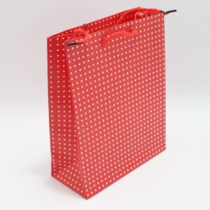 Bolsa de regalo pequeñas estrellas