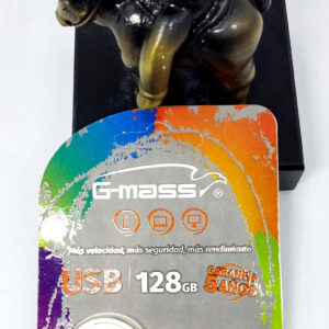 MEMORIA USB DE 128G MARCA G-MASS