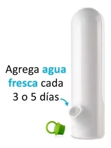 RECIPIENTE CONSERVADOR DE HIERBAS - Imagen 5