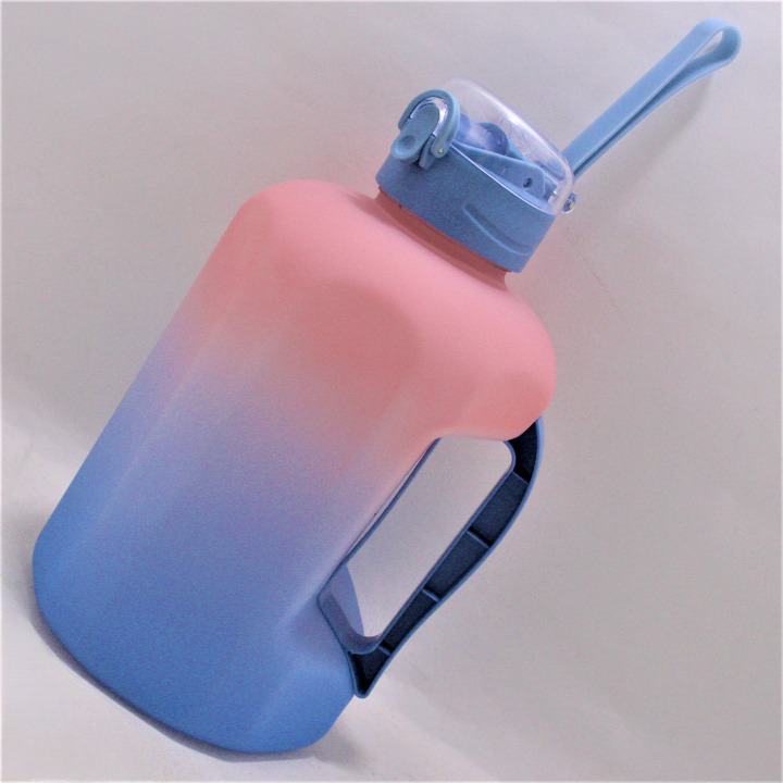 Termo degrade 2L con agarradera