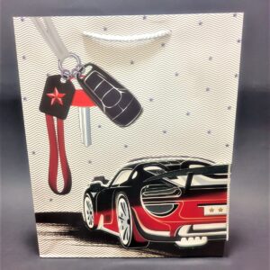 BOLSA REGALO ESTAMPADA TALLA S ESTAMPAD
