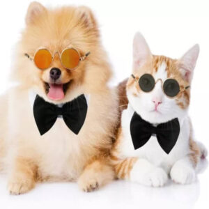 Gafas Para Gatos Perros Pequeños
