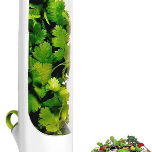 Recipiente de Conservación de Alimentos