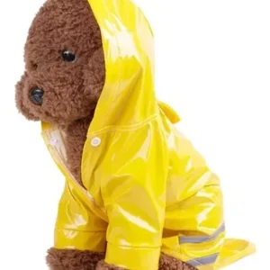 Carpa lluvia de colores mascota S M L XL