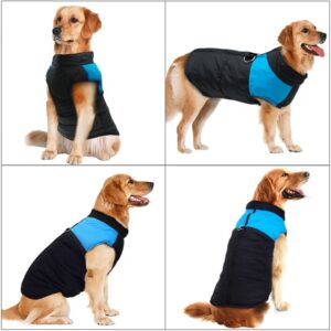 Chaleco Impermeable Mascota talla s