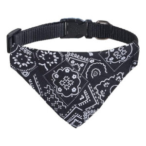 Collar Pañoleta Broches Plasticos