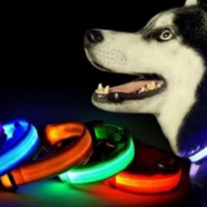 collar reflectivo con luz reflectiva