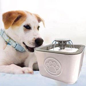Bebedero dispensador de agua para gatos