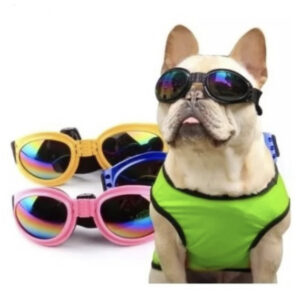 Gafas para perros
