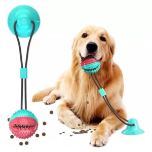 Pelota Con Chupa De Succión Perro Alimen
