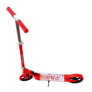 Scooter Patineta 2 Ruedas Portable Temat