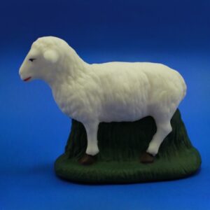 OVEJA 18 CMS