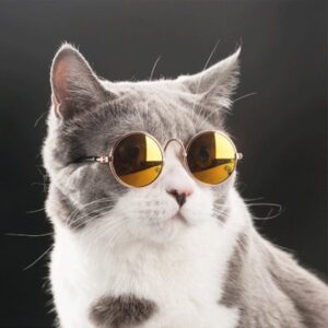 GAFA MASCOTA