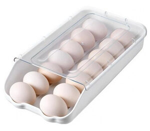 ORGANIZADOR DE HUEVOS