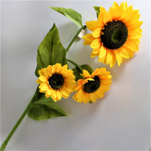 Girasol x3 Gigante