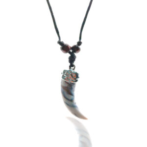 Collar Colmillo + estuche