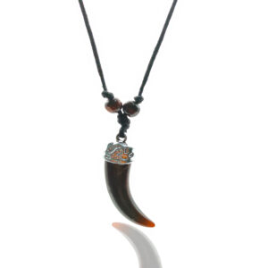 Collar Colmillo + estuche